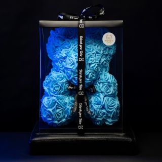 💎Modrý Medvídárek Limited Edition💎 #darekprozenu #valentyn #medvidarek #Valentyn